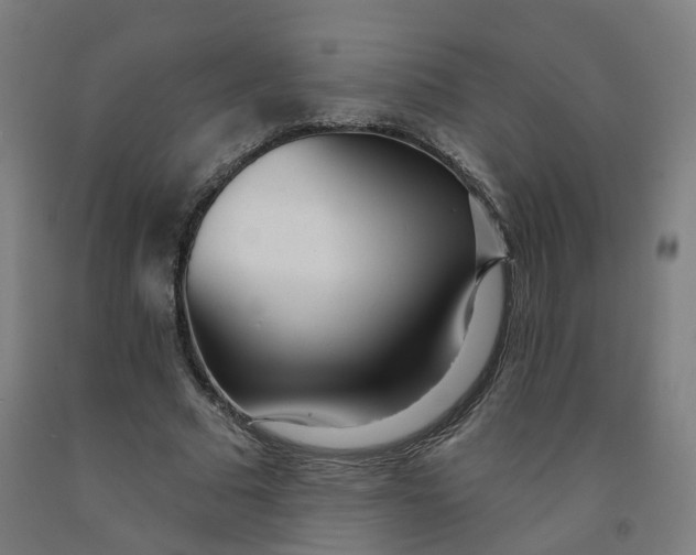 X0000091990681200709271448