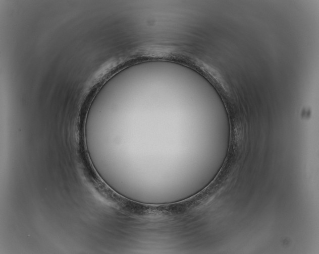 X0000091990682200709271448