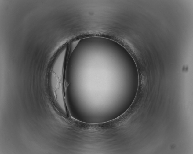 X0000091990684200709271448