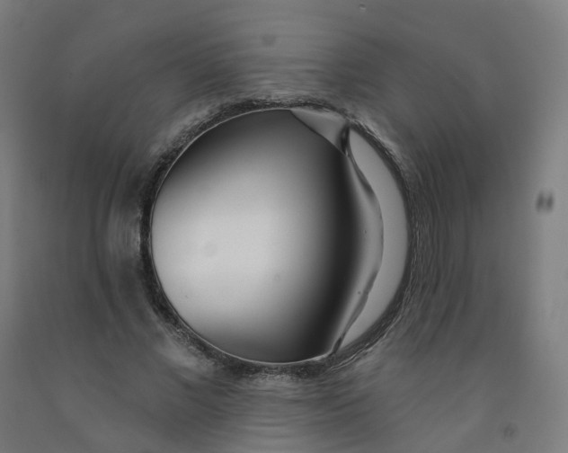 X0000091990685200709271448