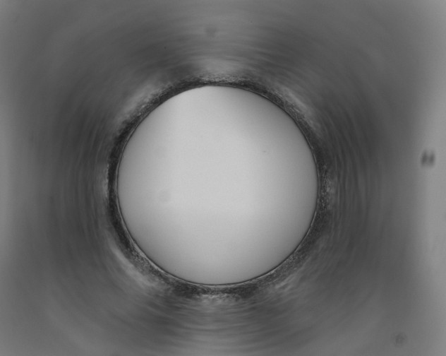 X0000091990686200709271448