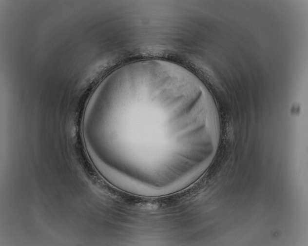 X0000091990687200709271448