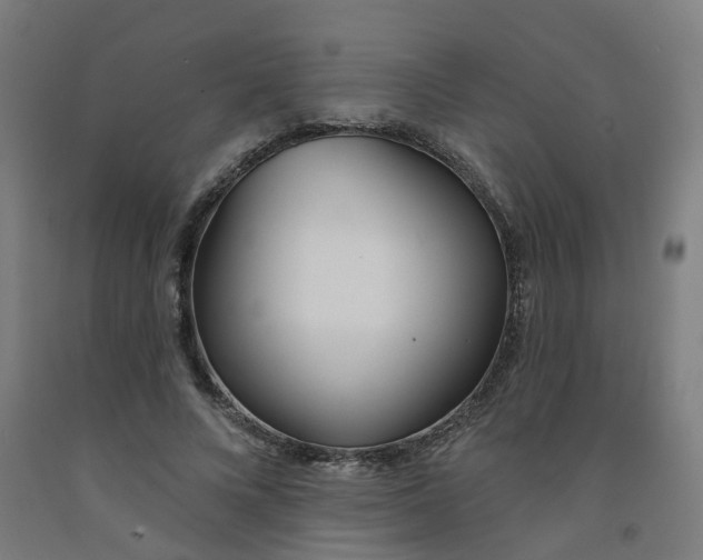 X0000091990688200709271448