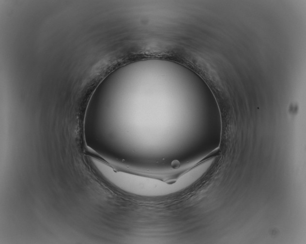 X0000091990689200709271448