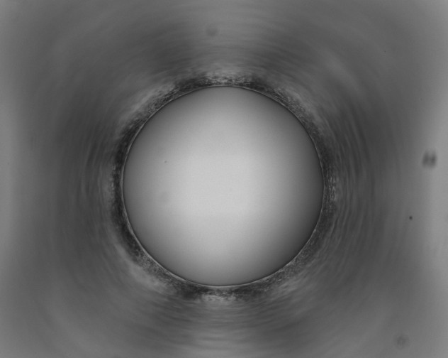 X0000091990690200709271448