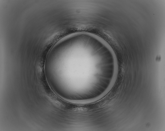 X0000091990691200709271448