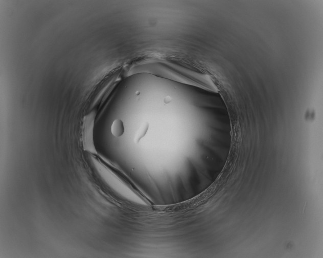 X0000091990692200709271448