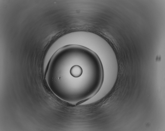 X0000091990693200709271448