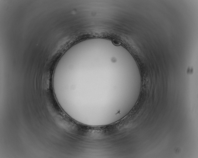 X0000091990694200709271448