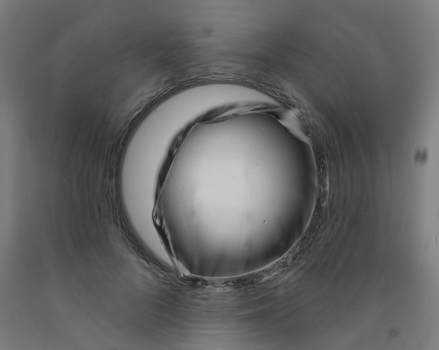 X0000091990696200709271448