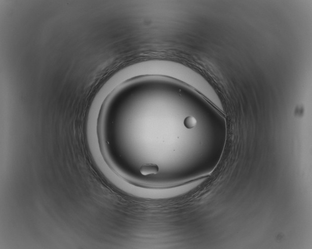 X0000091990697200709271448