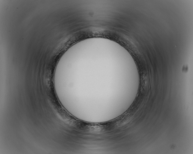 X0000091990698200709271448