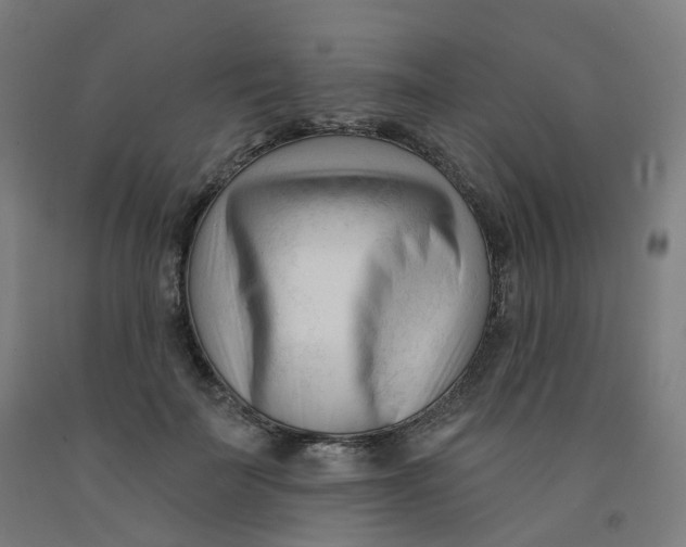 X0000091990699200709271448