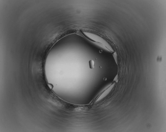 X0000091990700200709271448