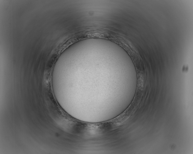 X0000091990701200709271448