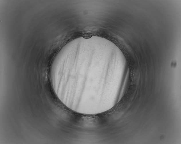 X0000091990703200709271448