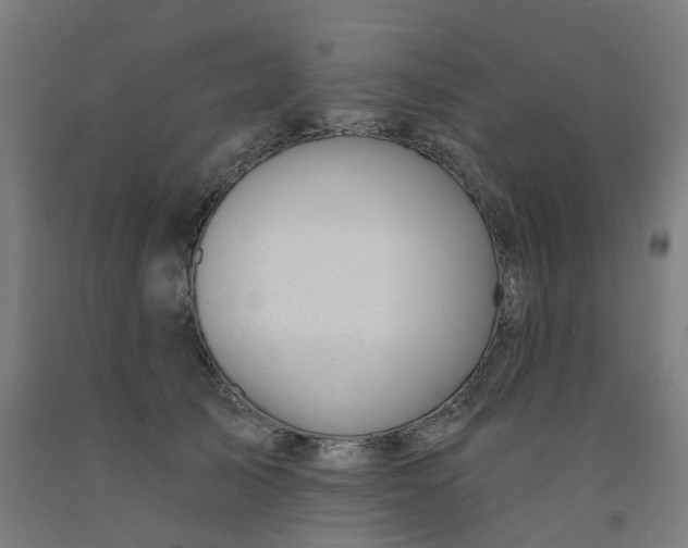 X0000091990705200709271448