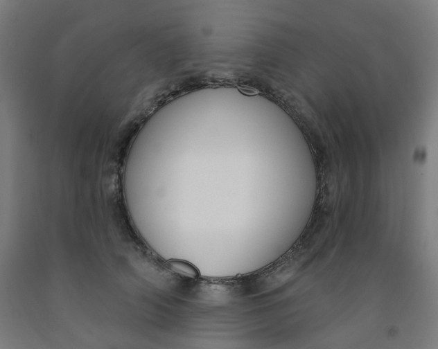 X0000091990706200709271448