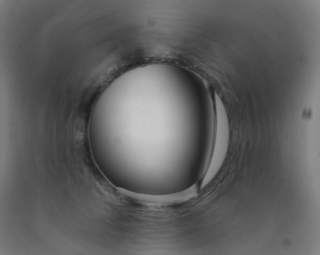 X0000091990708200709271448