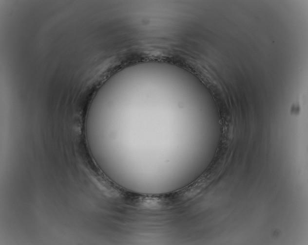 X0000091990710200709271448