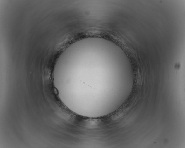 X0000091990711200709271448