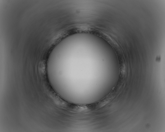 X0000091990715200709271447