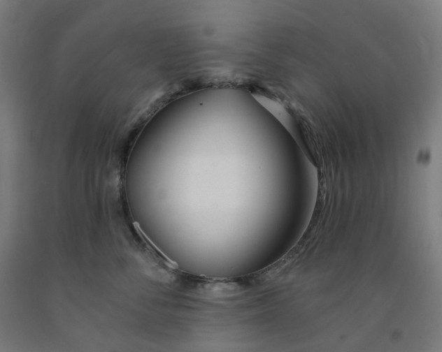 X0000091990716200709271447