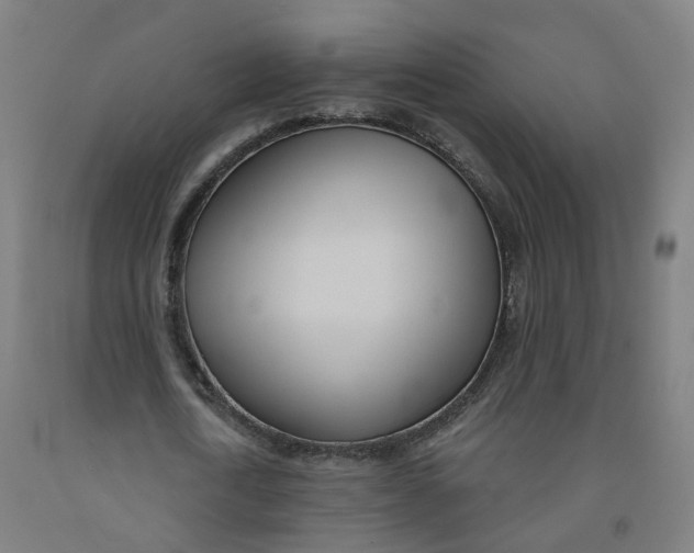 X0000091990722200709271447