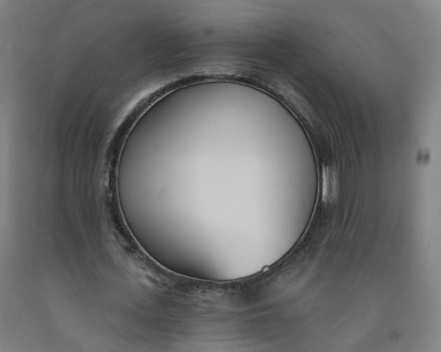 X0000091990723200709271447