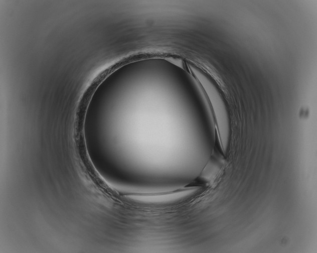 X0000091990724200709271447