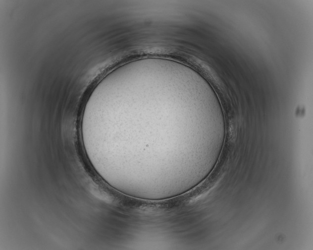 X0000091990725200709271447