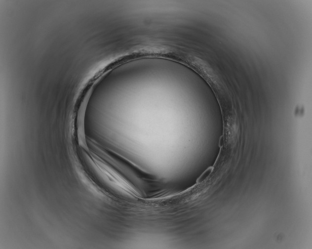 X0000091990726200709271447