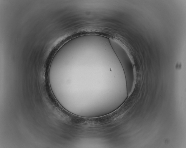 X0000091990727200709271447