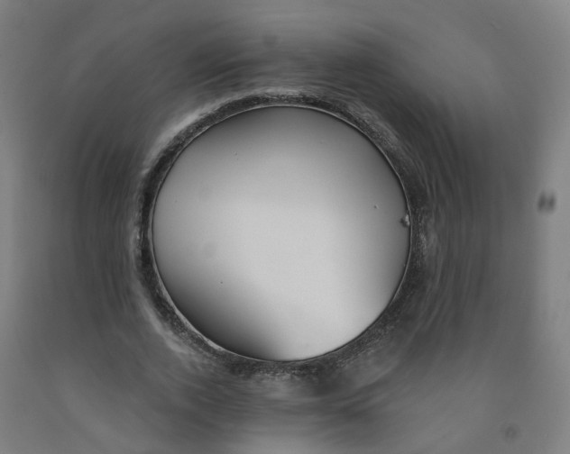 X0000091990728200709271447