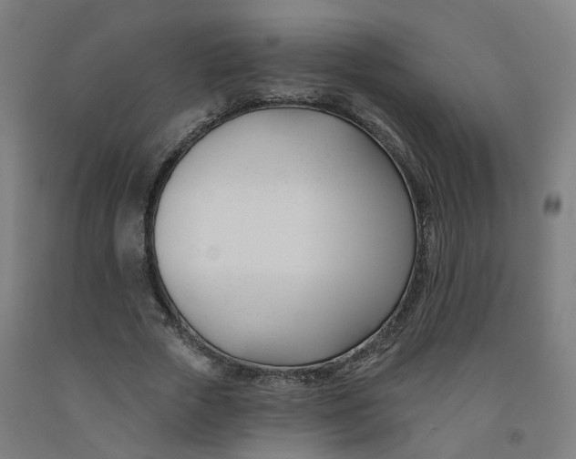 X0000091990729200709271447