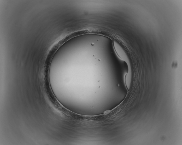 X0000091990730200709271447