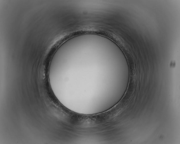 X0000091990731200709271447