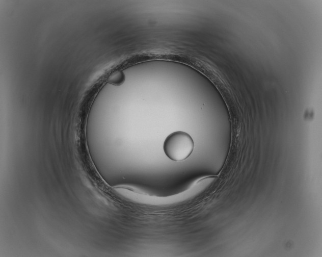 X0000091990732200709271447