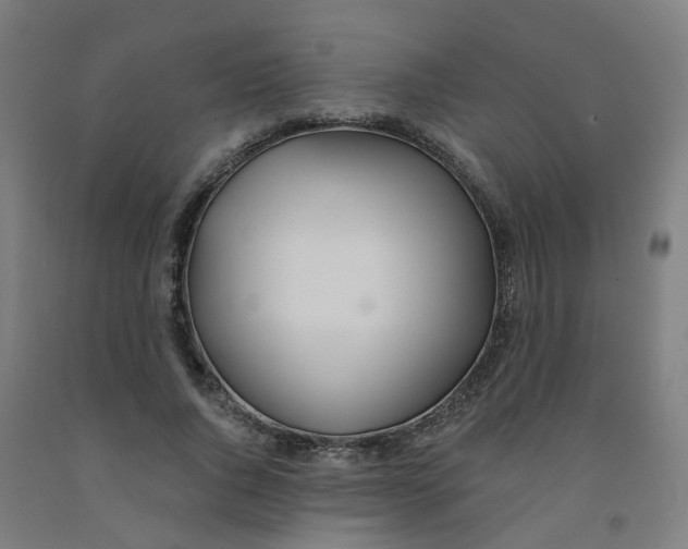 X0000091990736200709271447