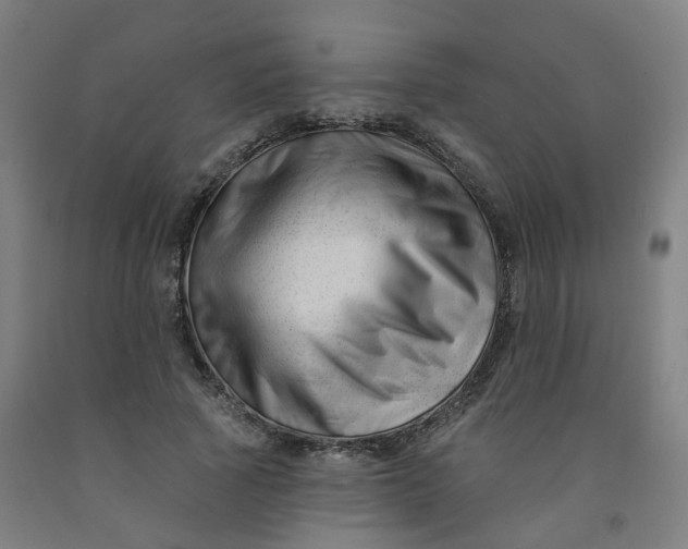 X0000091990737200709271447