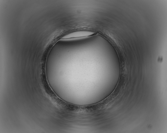 X0000091990738200709271447