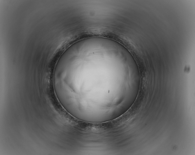 X0000091990739200709271447