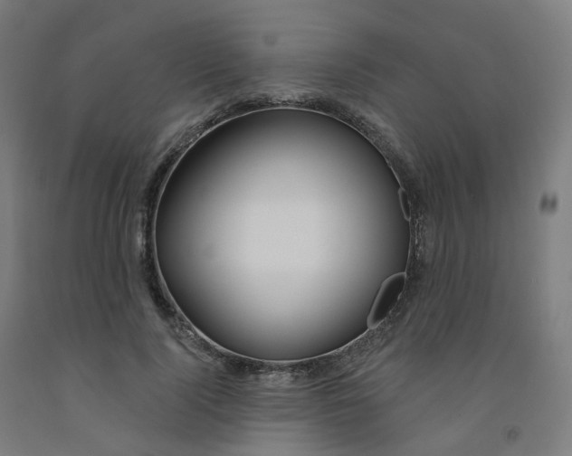 X0000091990740200709271447