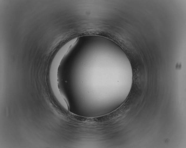 X0000091990742200709271447