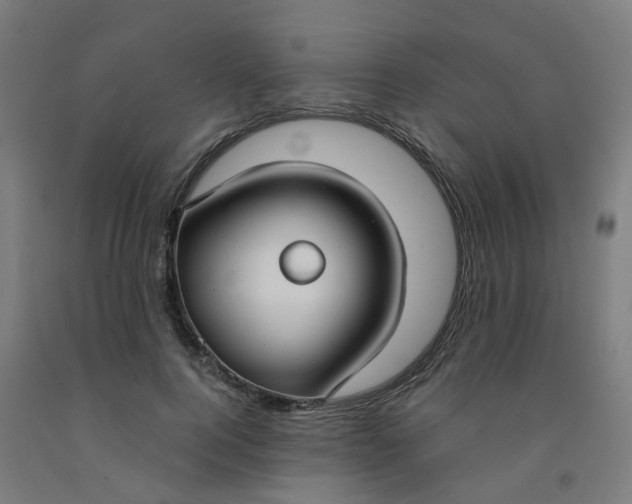 X0000091990744200709271447