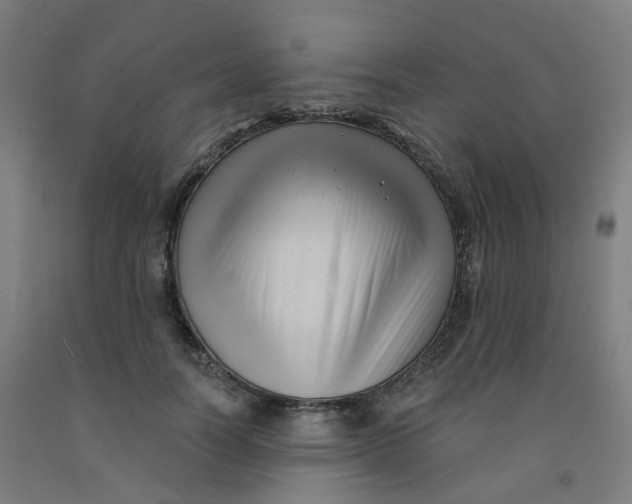 X0000091990746200709271447