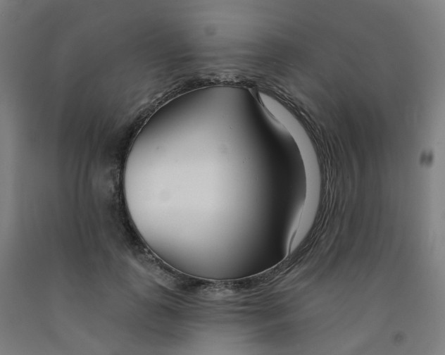 X0000091990747200709271447