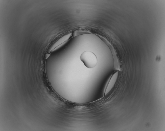 X0000091990748200709271447