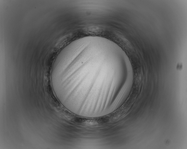 X0000091990749200709271447