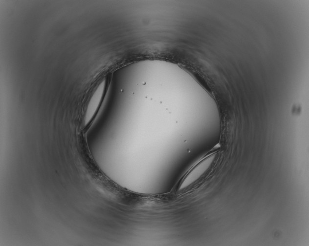 X0000091990750200709271447